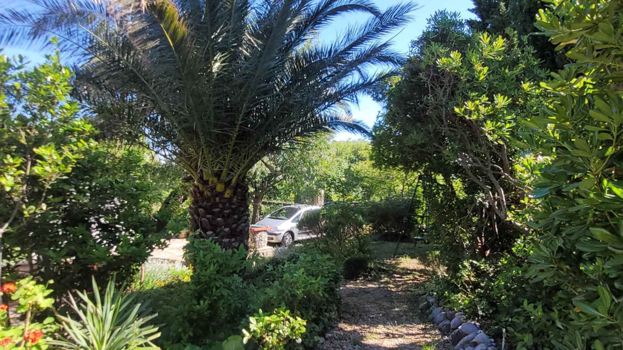 Photo of Outdoor in Seline
