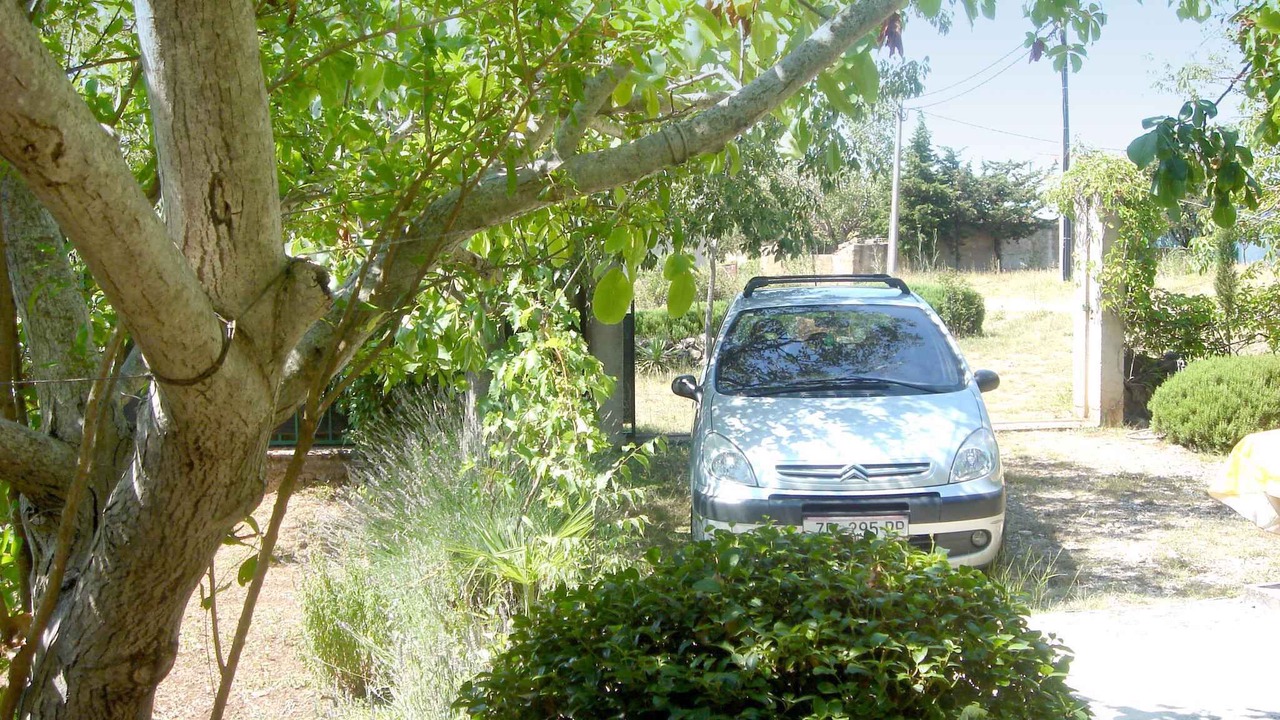 Photo of Outdoor in Seline