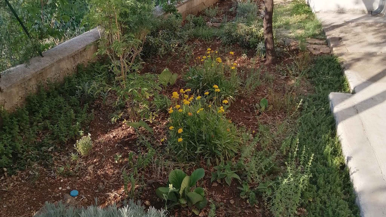 Photo of Outdoor in Seline