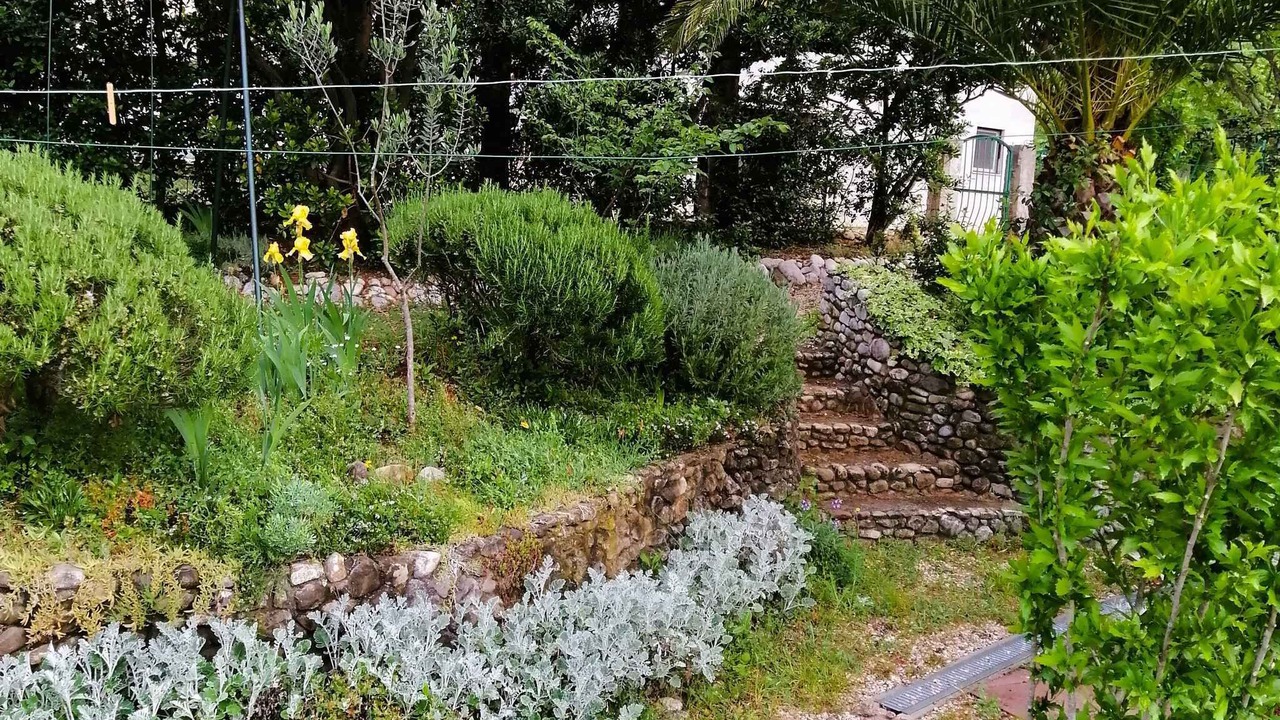 Photo of Outdoor in Seline