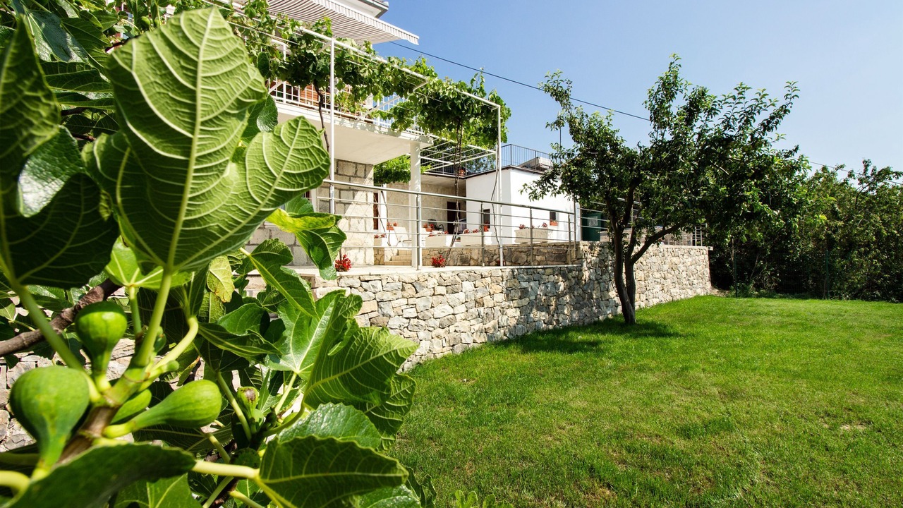 Photo of Outdoor in Donje Sitno