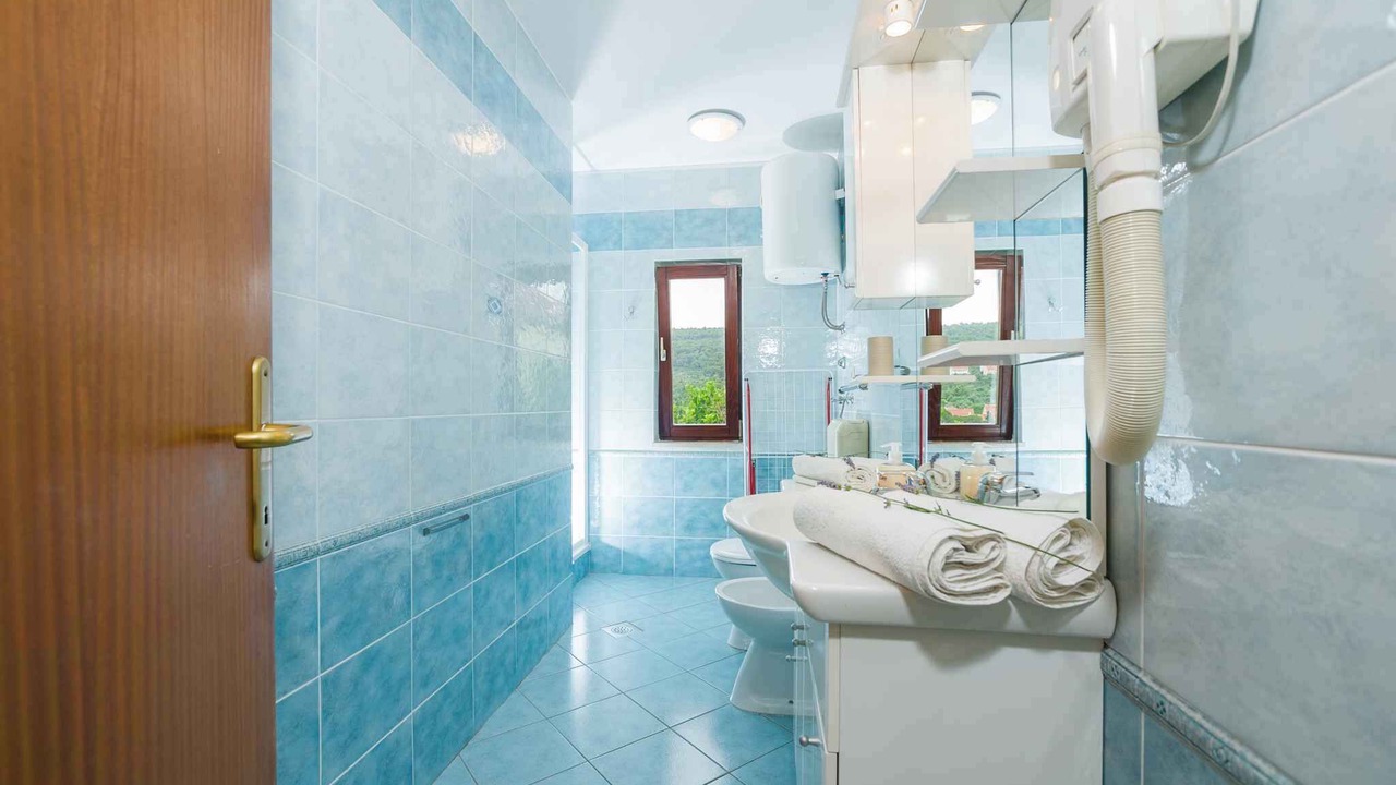 Photo of Bathroom in Bozava
