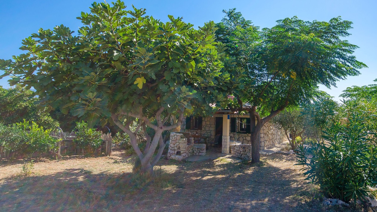Photo of Outdoor in Kolan