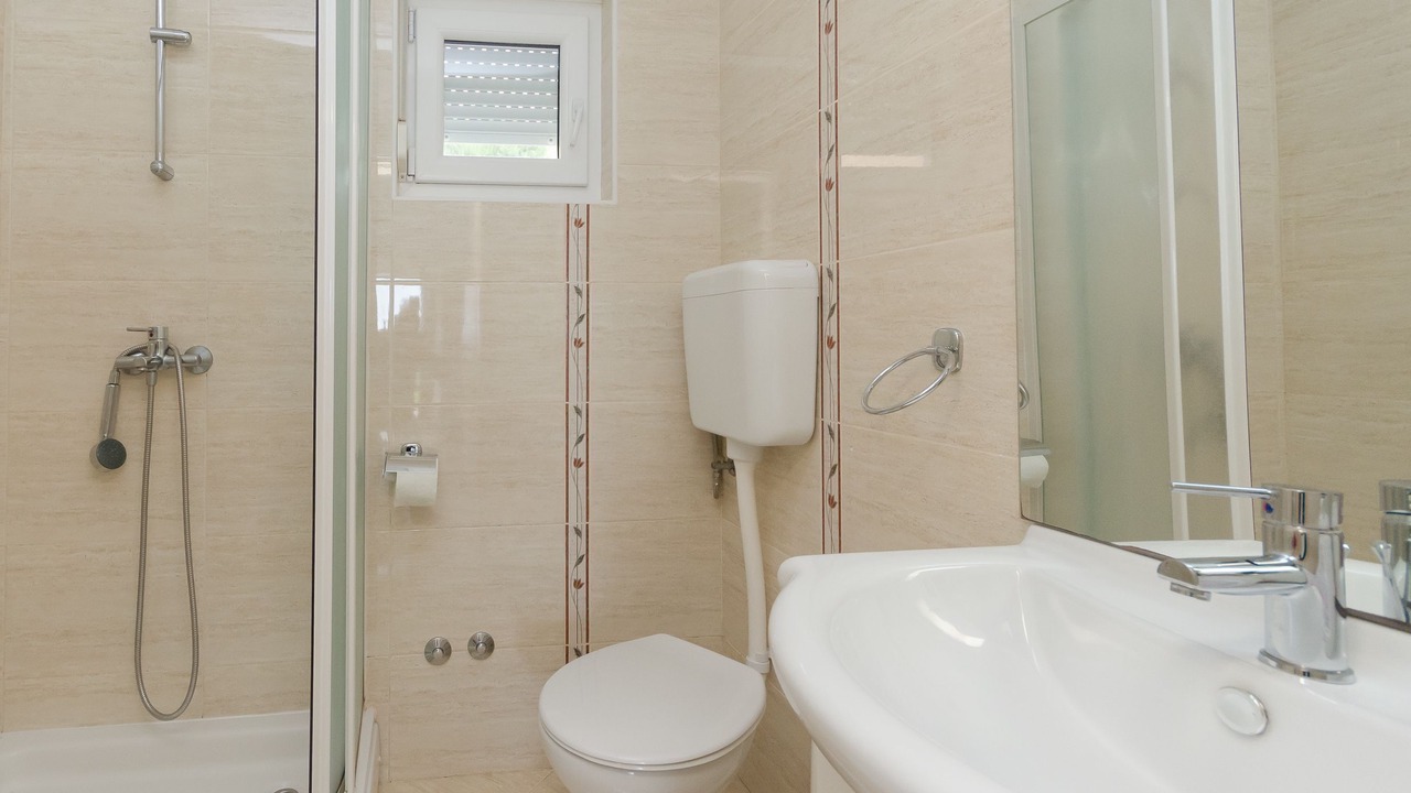 Photo of Bathroom in Medveja
