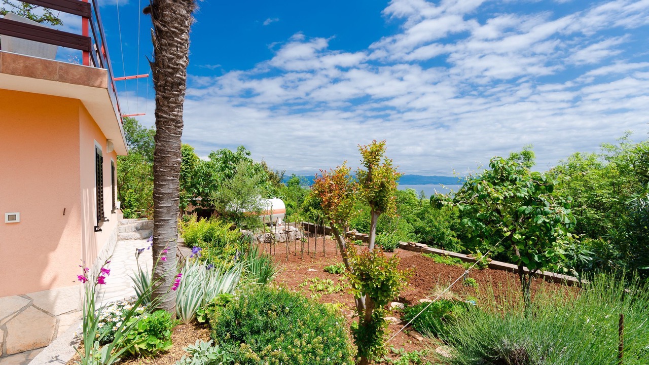 Photo of Outdoor in Medveja