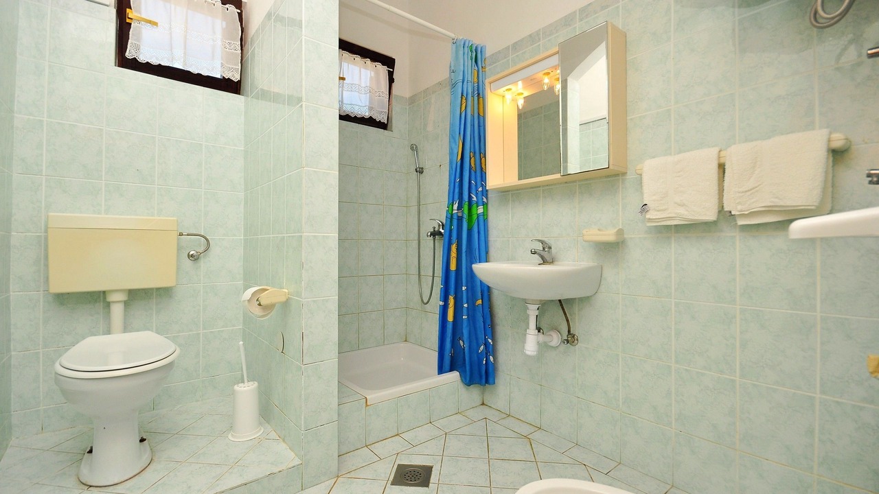 Photo of Bathroom in Vlasici