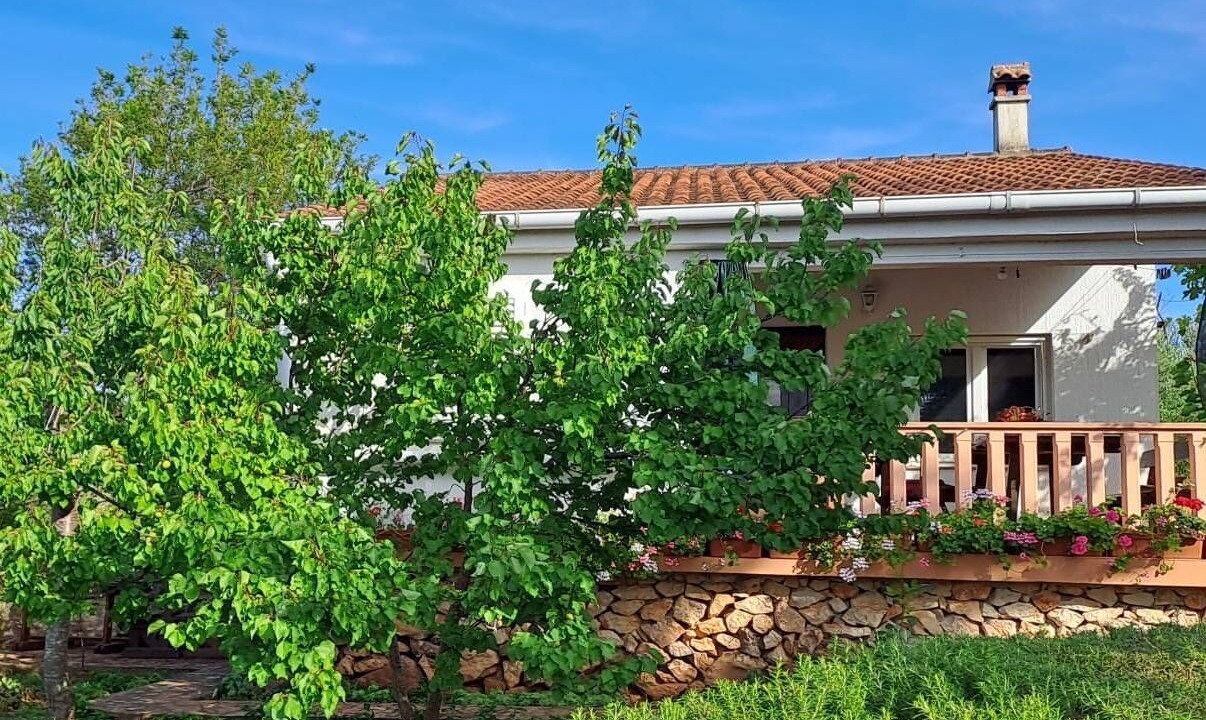 Photo of Outdoor in Zman