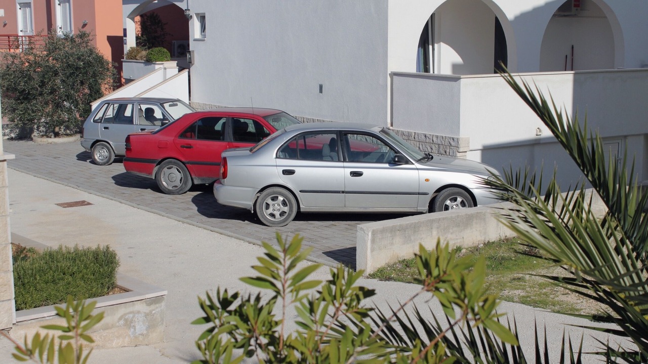 Photo of Others in Sevid