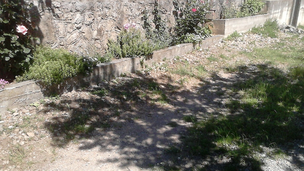 Photo of Others in Maslenica