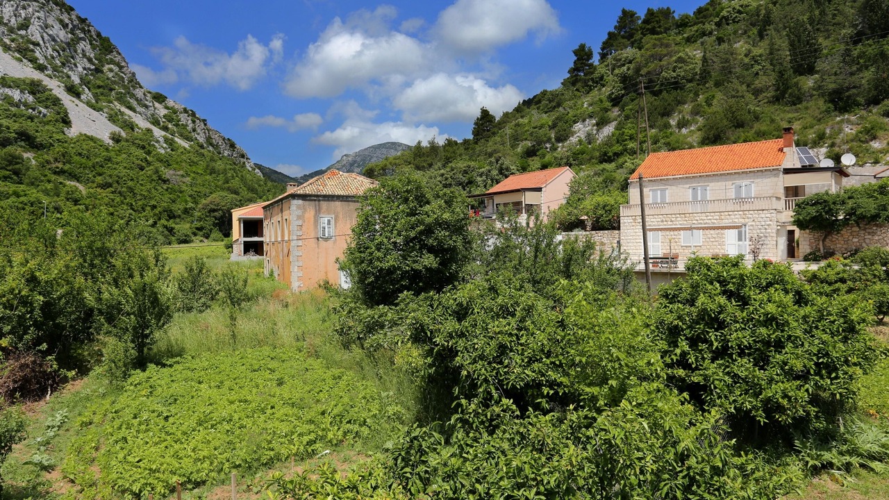 Photo of Others in Trstenik