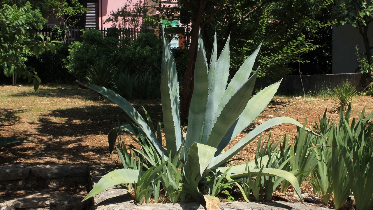 Photo of Outdoor in Artatore