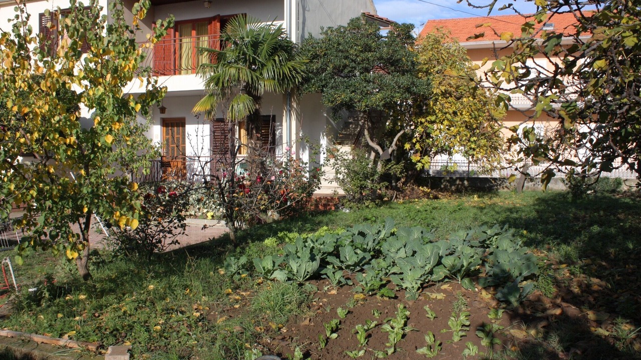 Photo of Outdoor in Biograd na Moru
