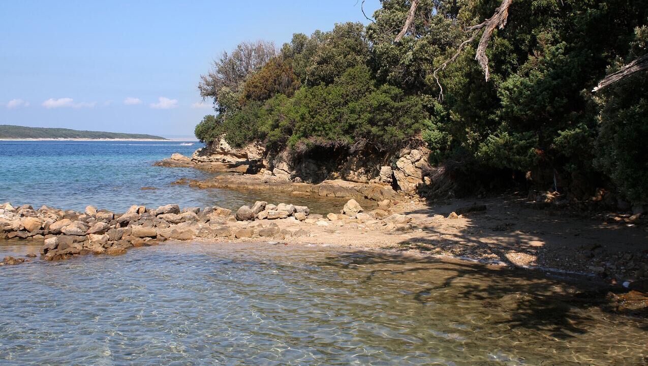 Photo of Others in Supetarska Draga