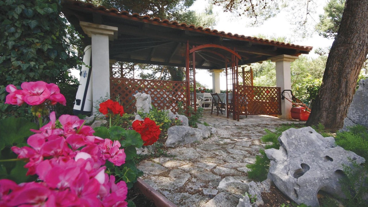 Photo of Others in Brodarica