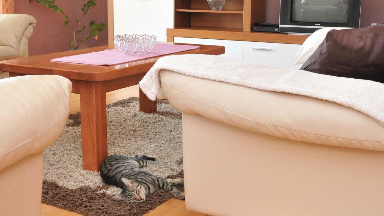 Photo of Bedroom in Trilj