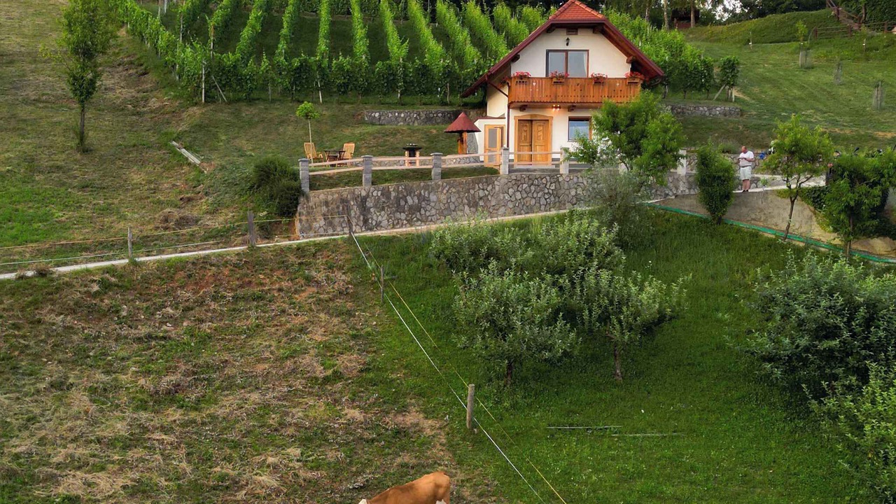 Photo of Outdoor in Cesnjice pri Trebelnem