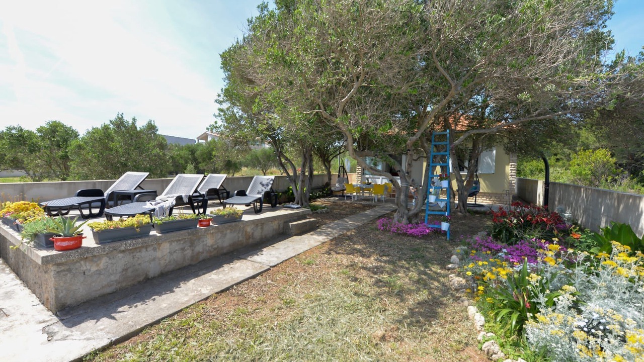 Photo of Outdoor in Banj