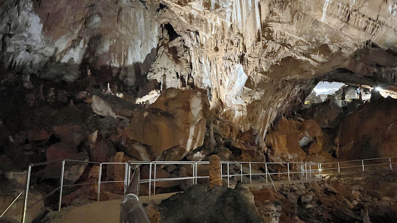 Photo of Others in Seline