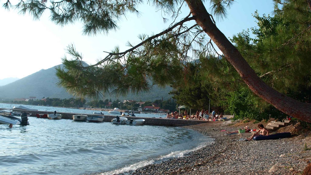 Photo of Others in Seline
