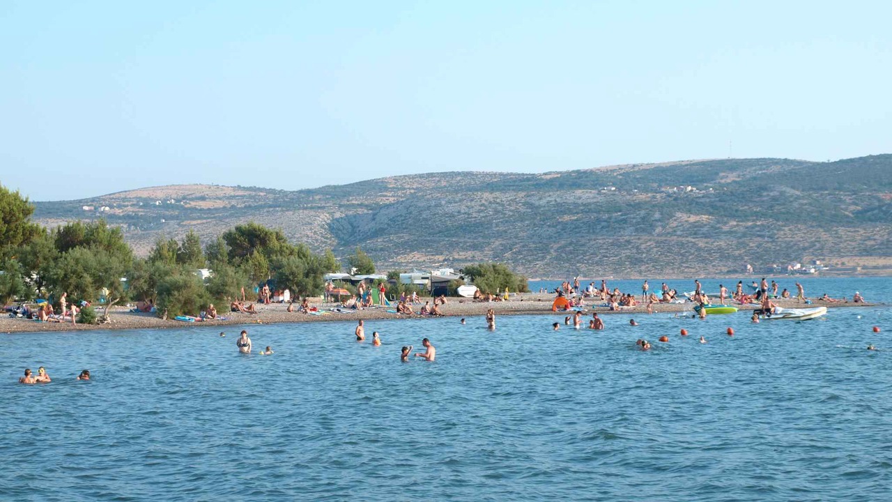 Photo of Others in Seline