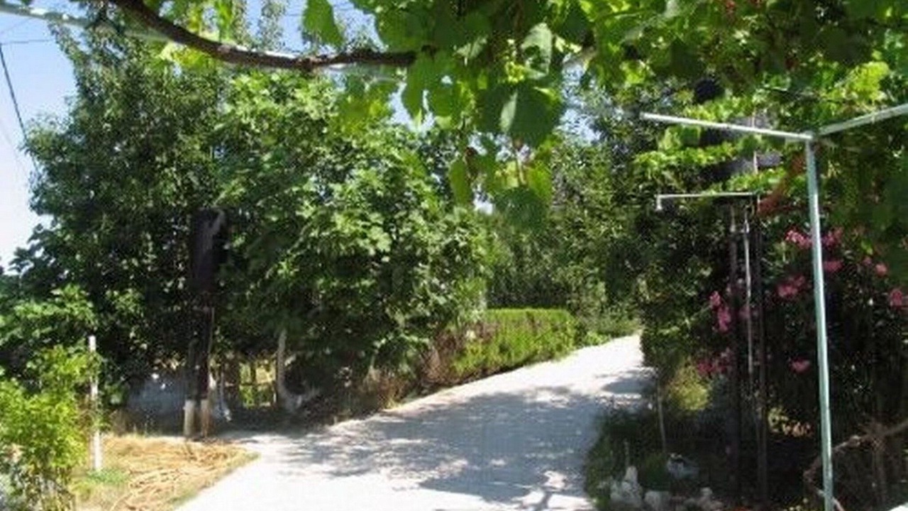 Photo of Outdoor in Vlasici