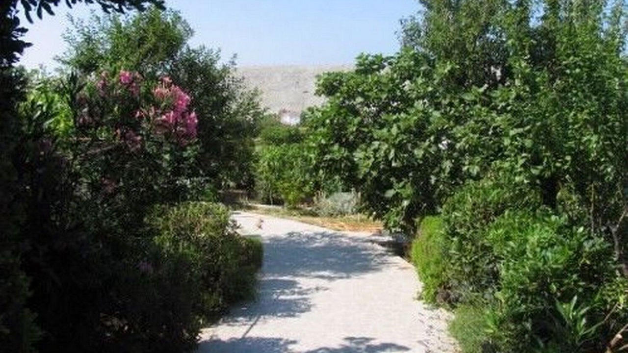 Photo of Outdoor in Vlasici