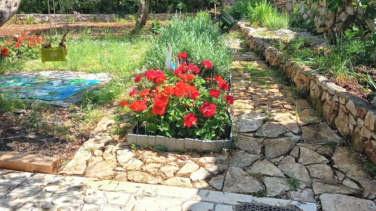 Photo of Outdoor in Tkon