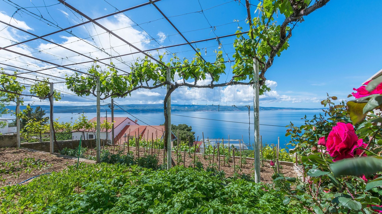 Photo of Outdoor in Omis