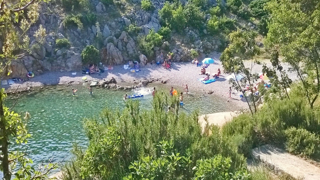 Photo of Others in Ribarica