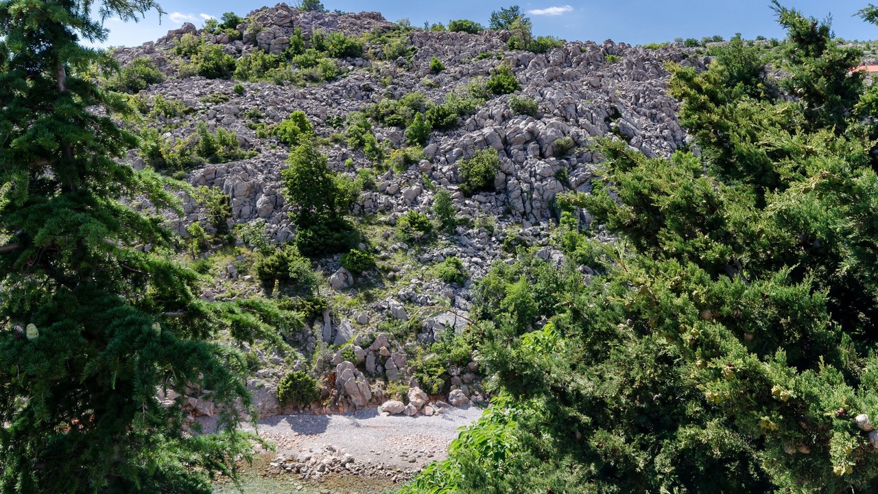 Photo of Outdoor in Ribarica
