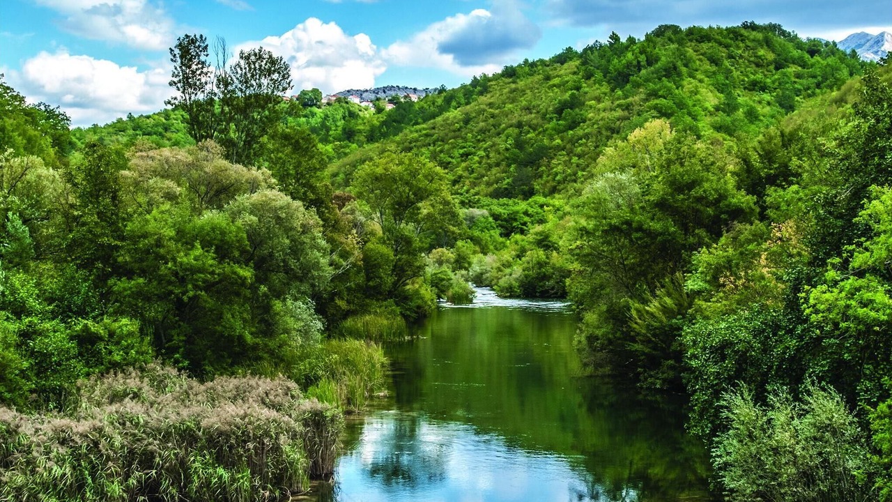 Photo of Others in Zvecanje