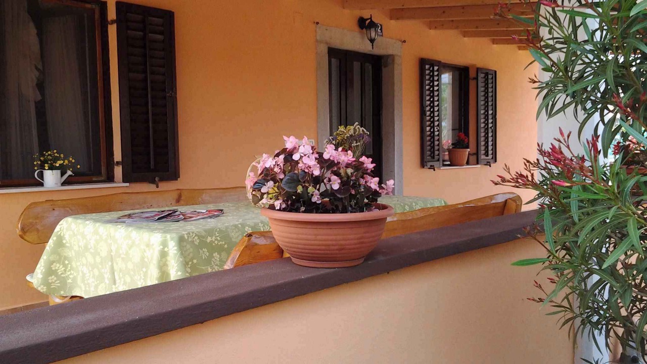 Photo of Outdoor in Mali Turini