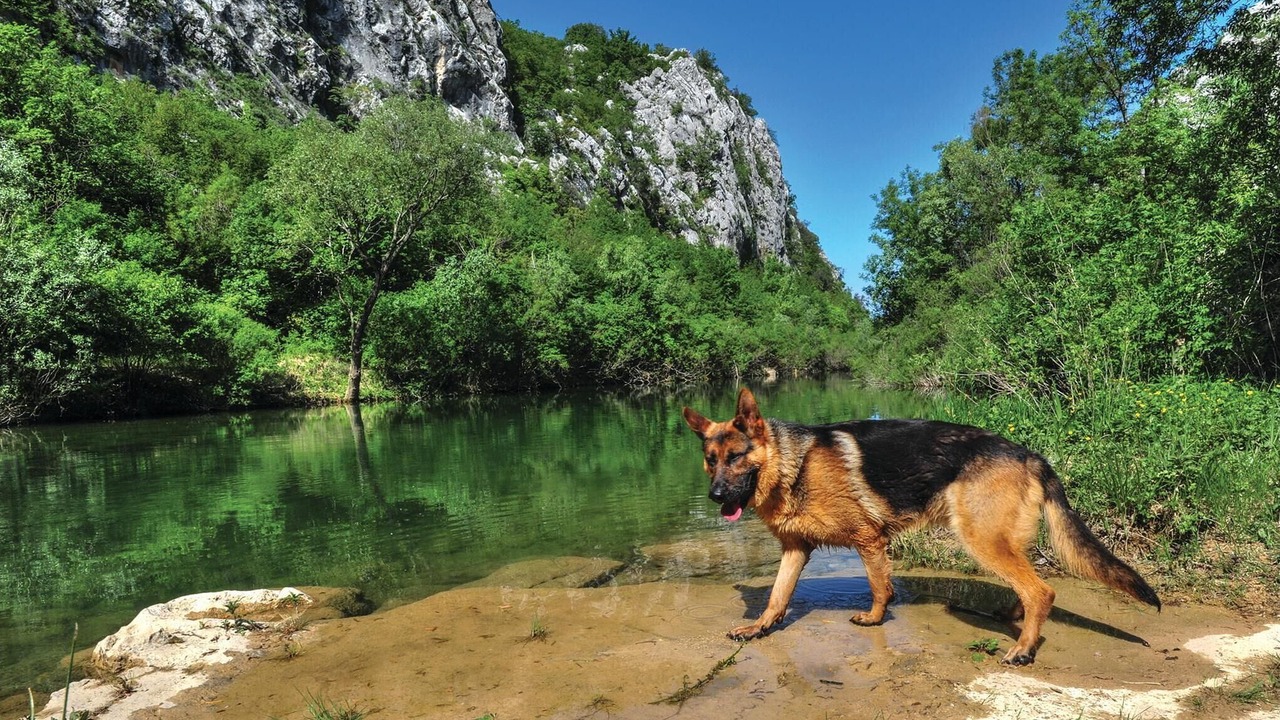 Photo of Others in Central Dalmatia