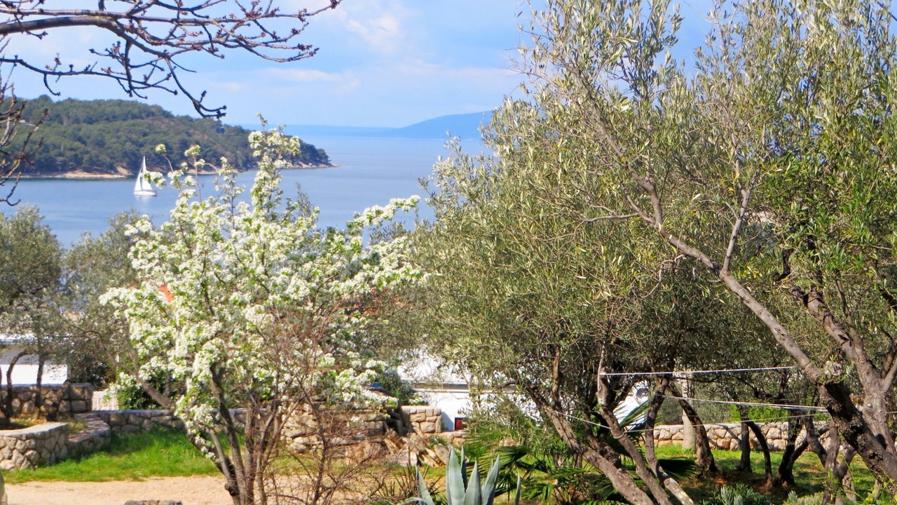 Photo of Outdoor in Cres