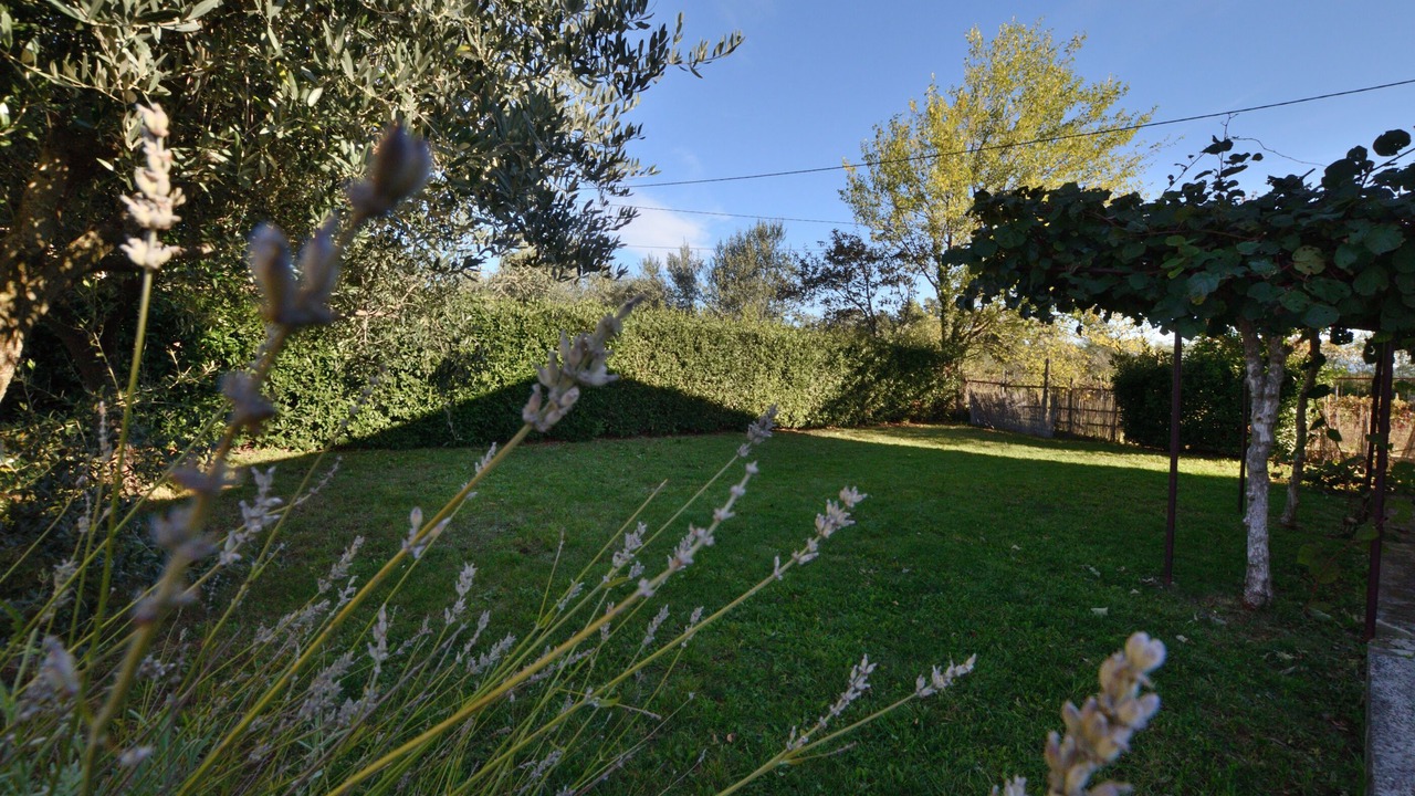 Photo of Outdoor in Melnica