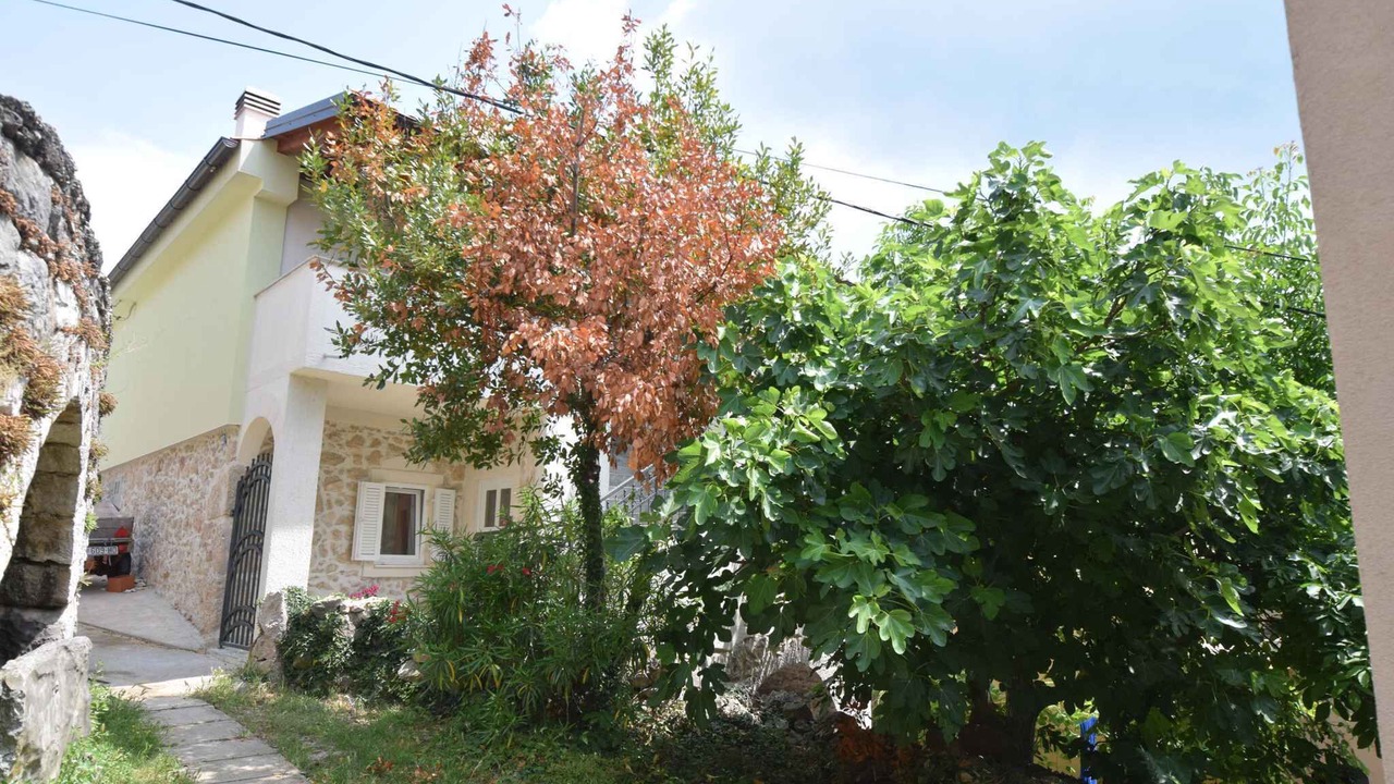 Photo of Others in Cizici
