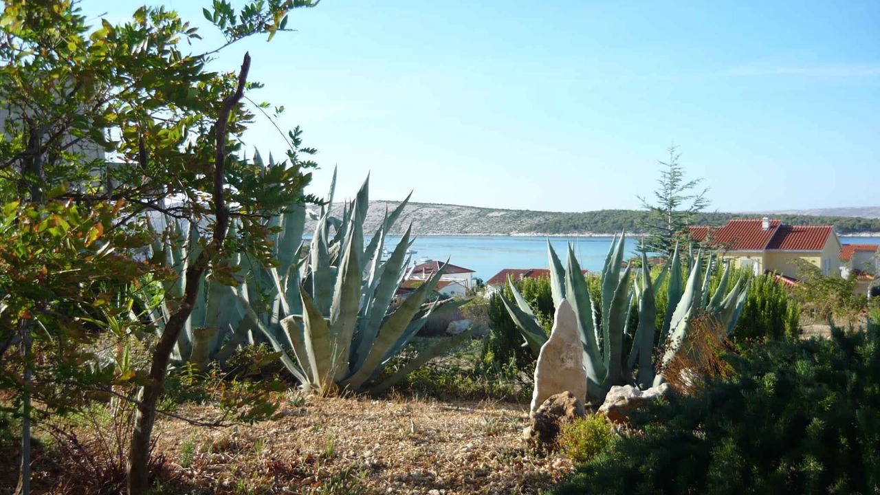 Photo of Outdoor in Barbat na Rabu