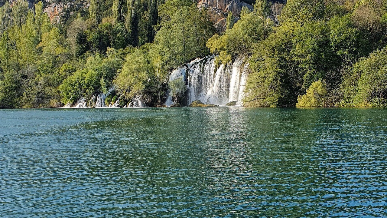 Photo of Others in Promina