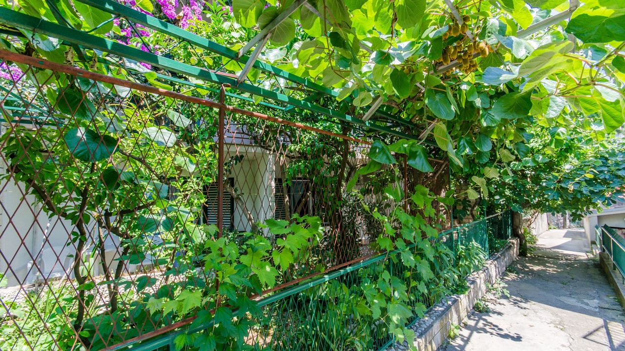 Photo of Outdoor in Bili brig