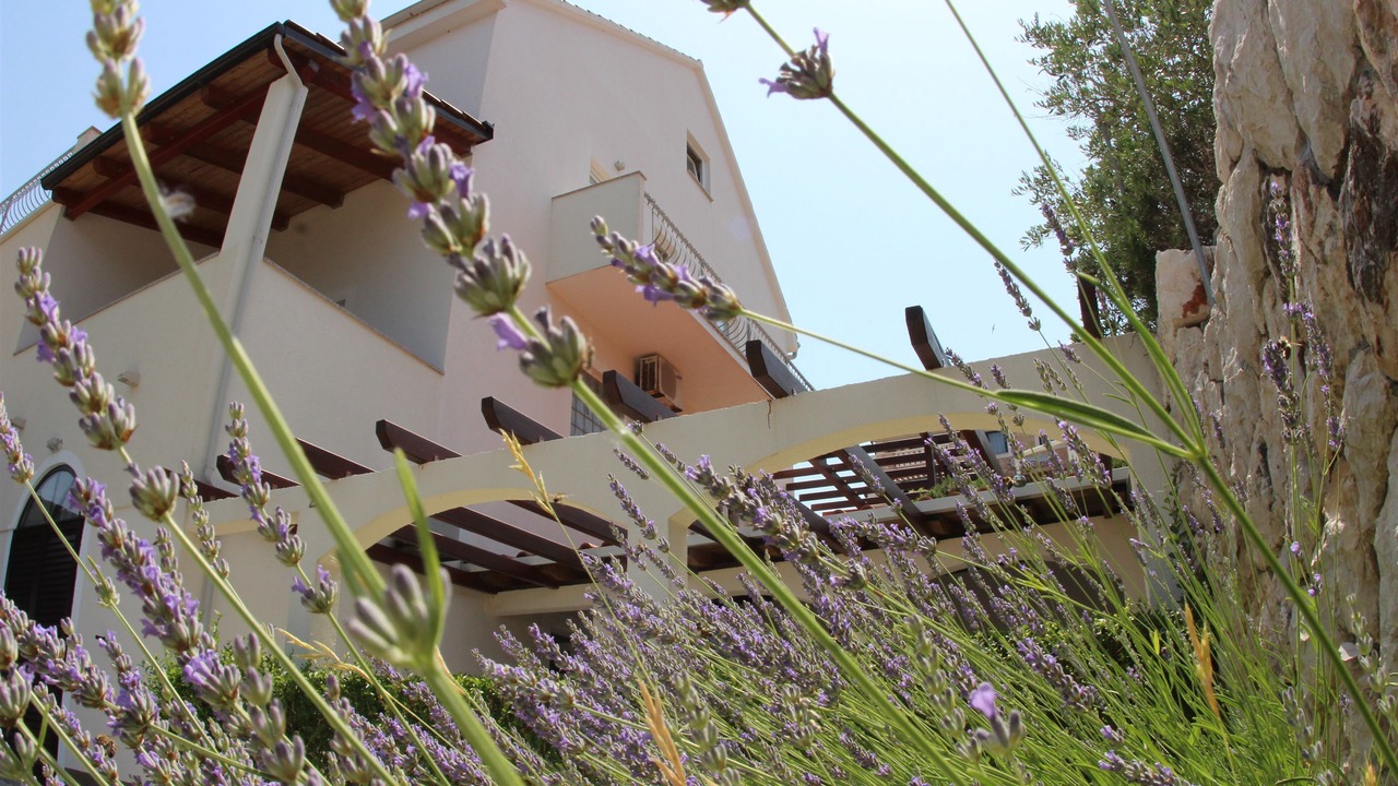 Photo of Outdoor in Island Hvar