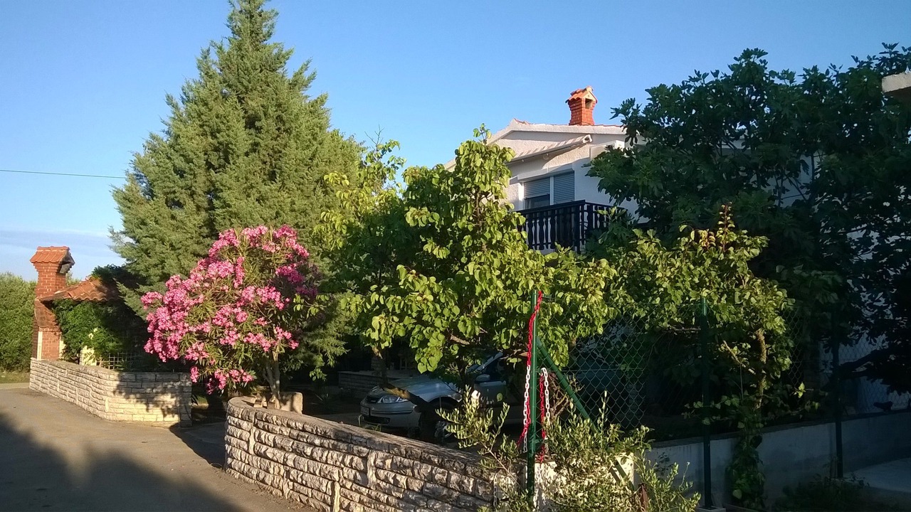 Photo of Outdoor in Jezera