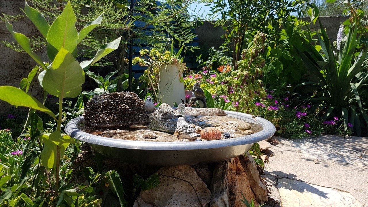 Photo of Outdoor in Jezera