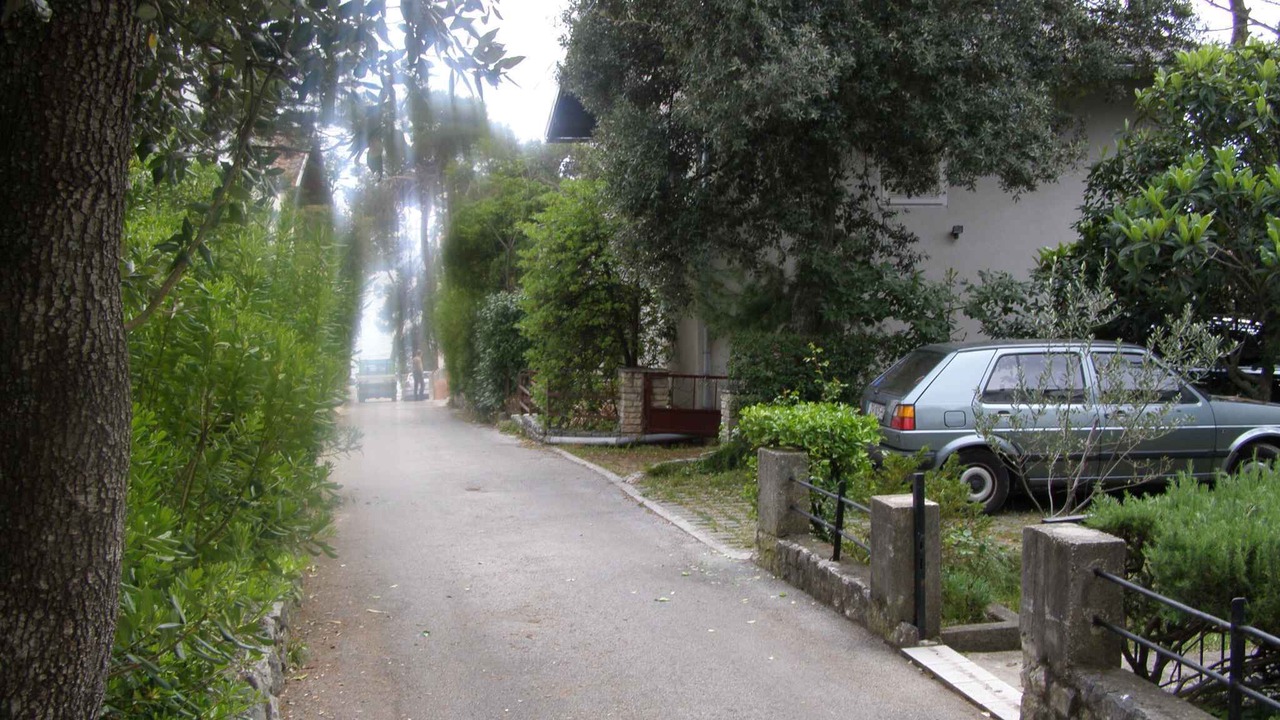 Photo of Others in Petrcane