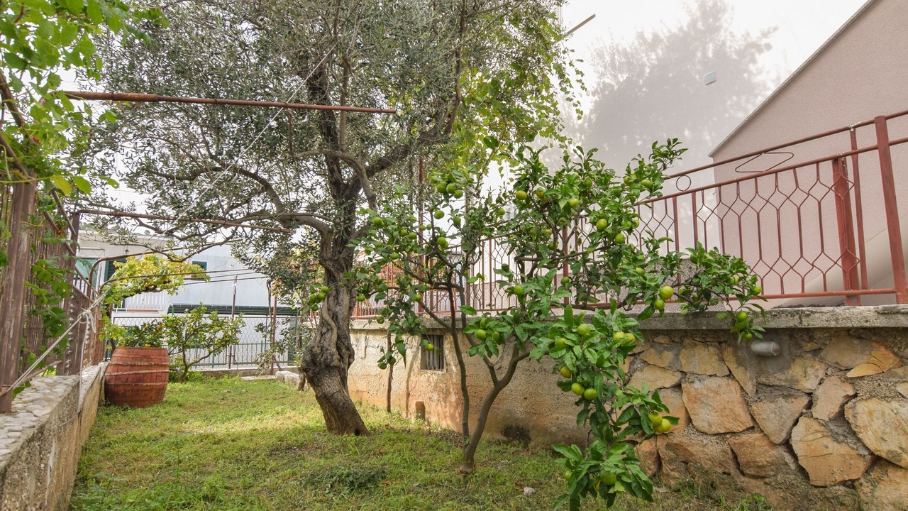 Photo of Outdoor in Podglavica