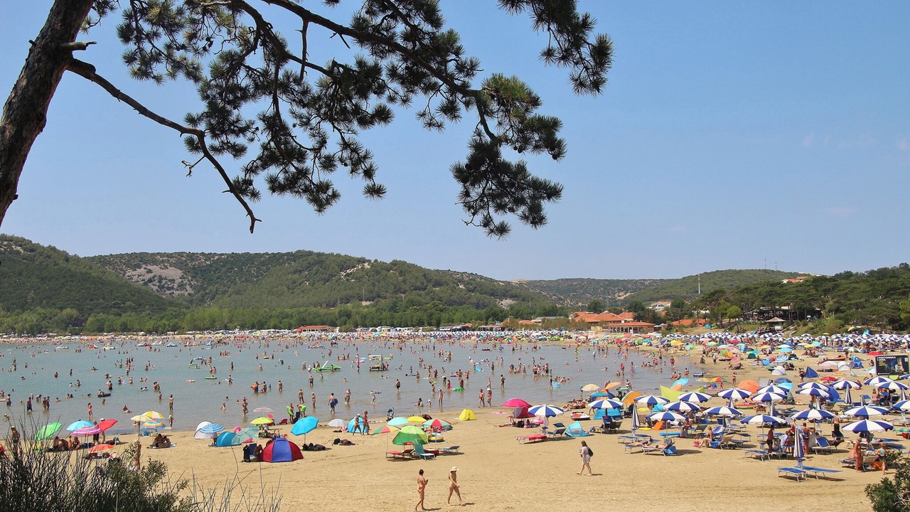 Photo of Others in Supetarska Draga