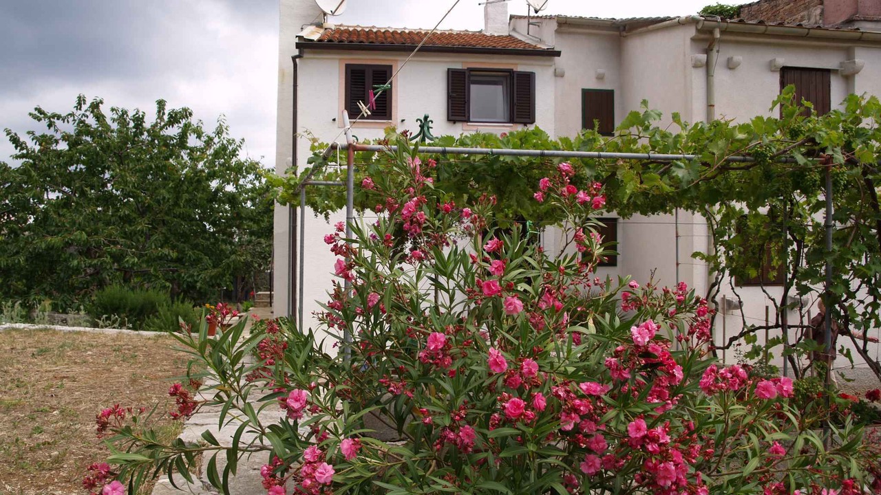 Photo of Others in Veli Losinj