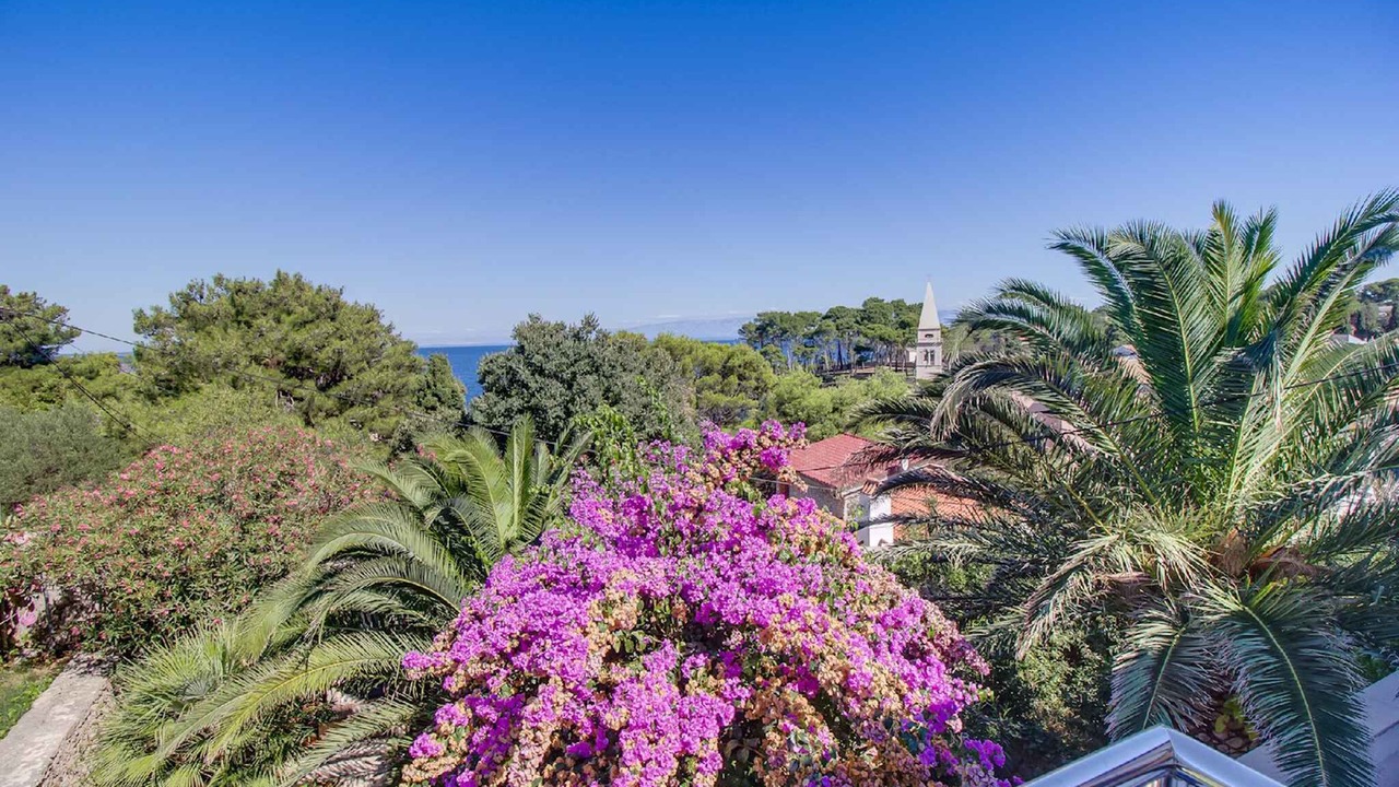 Photo of Outdoor in Veli Losinj