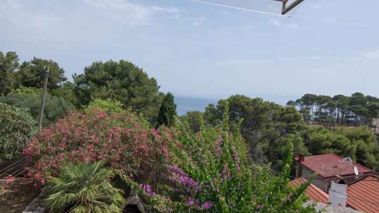 Photo of Outdoor in Veli Losinj
