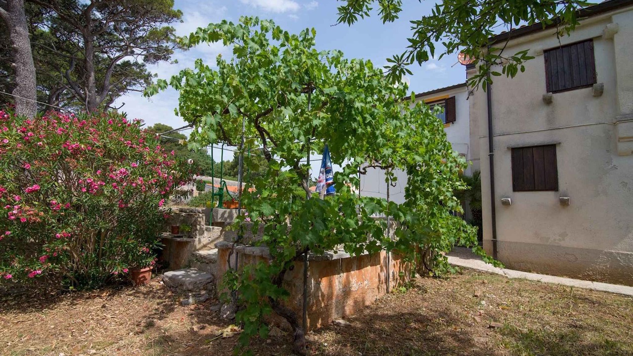 Photo of Outdoor in Veli Losinj