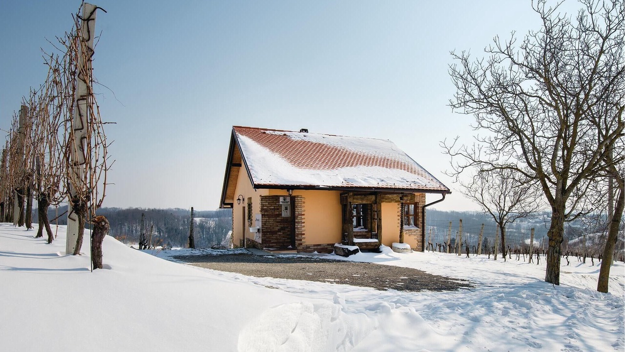 Photo of Others in Sveti Ivan Zelina